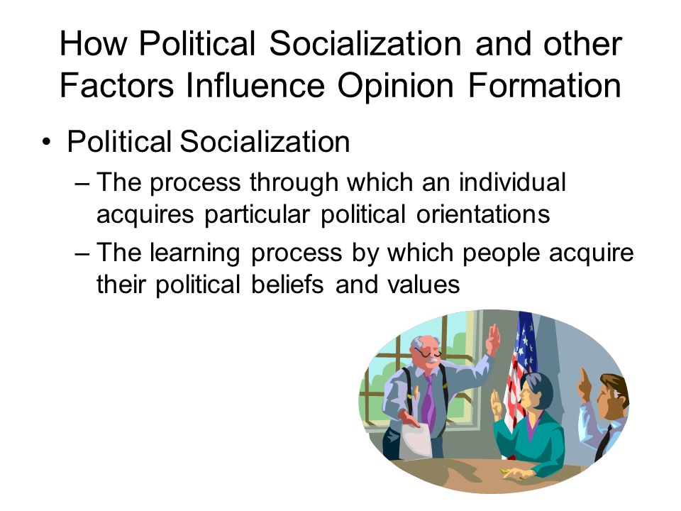 Essay on Political Socialization